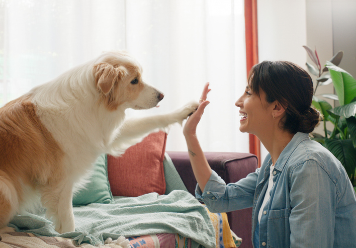 C’est décidé, j’adopte un chien !
